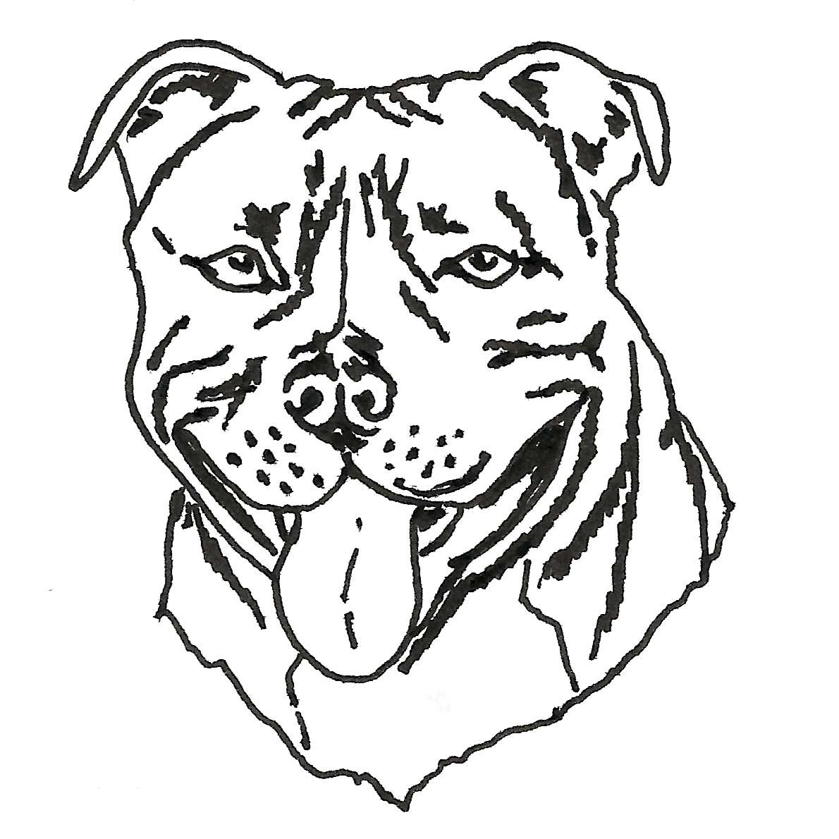1190x1190 Staffordshire Bull Terrier Drawing Inky Dog Press