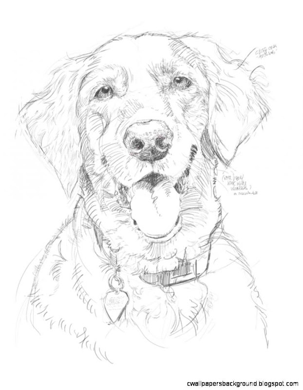 622x800 Easy Dog Drawings In Pencil Wallpapers Background