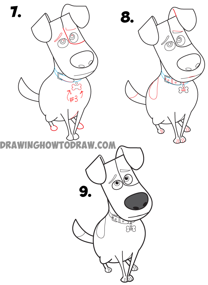 693x952 How To Draw Max From The Secret Life Of Pets Easy Step By Step
