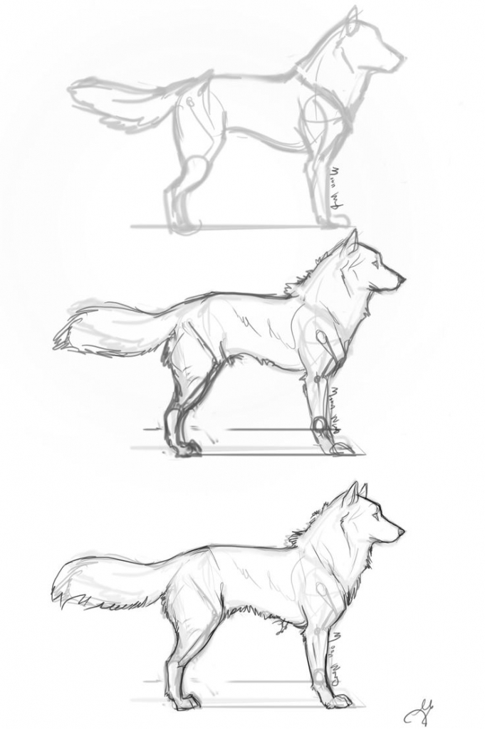 681x1024 Drawing A Dog Step By Step How To Draw Cartoon Dogs Face And Head