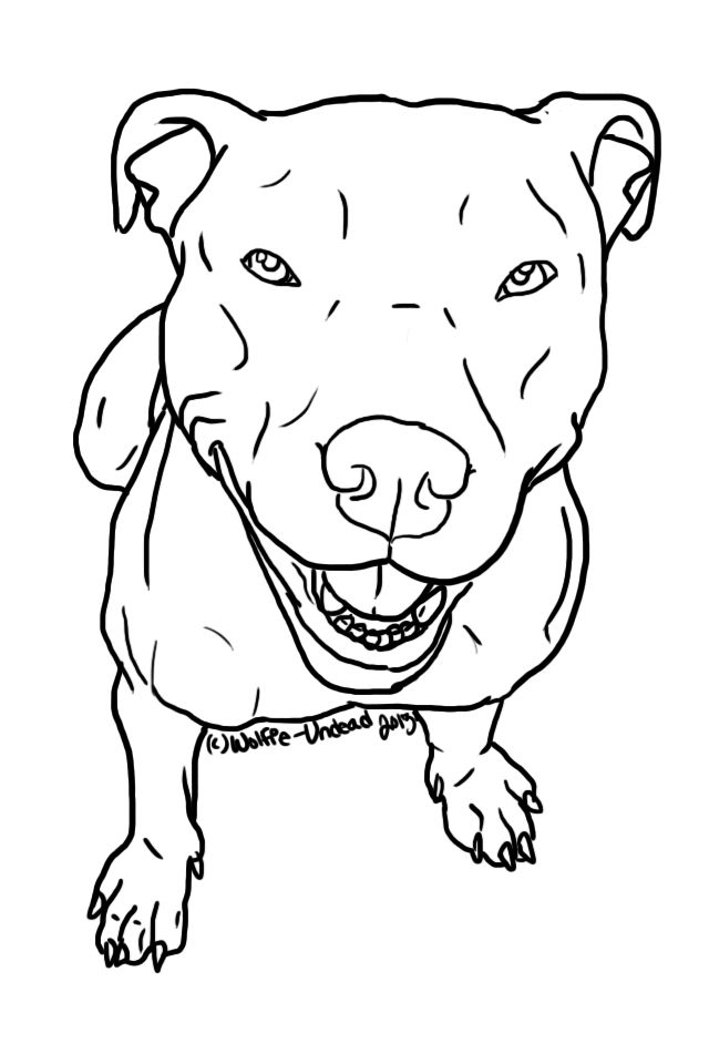 640x960 Drawn Pit Bull Easy