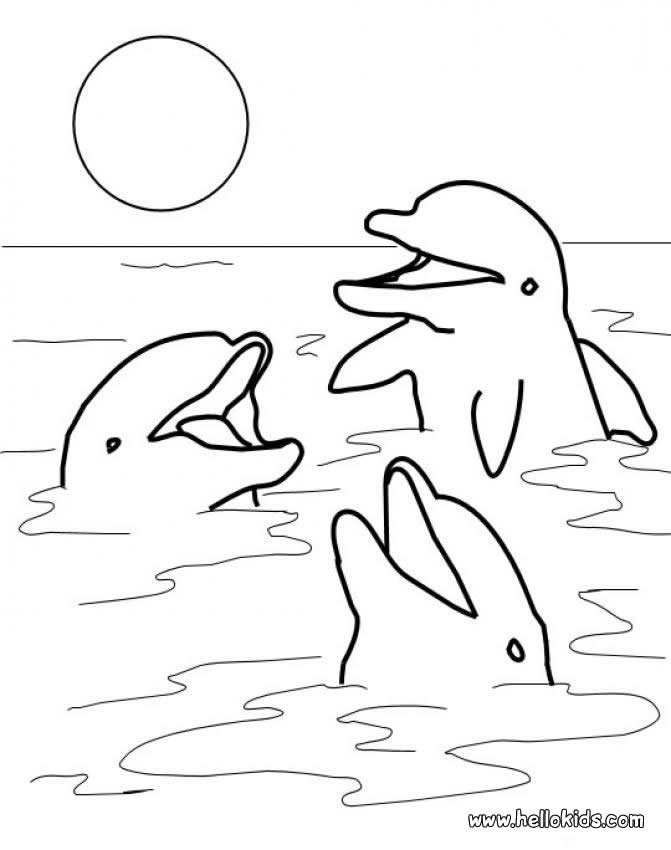 671x850 Dolphin Coloring Pages