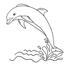 220x220 Dolphin Coloring Pages, Free Online Games, Drawing For Kids
