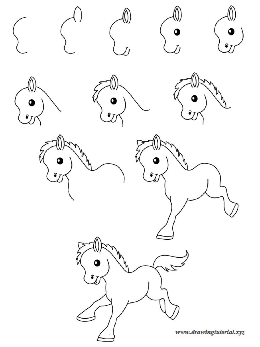 How To Draw Animals Step By Step Easy At Drawing Tuto - vrogue.co