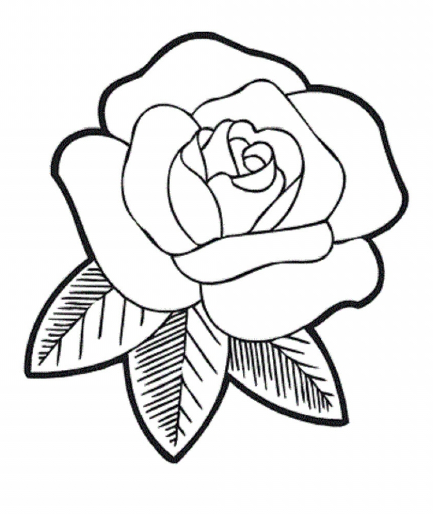 864x1024 Easy Drawings Of Roses Printable Coloring Pages For Kids