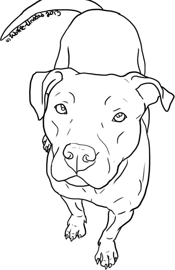 585x905 Drawn Pitbull Boxer Dog