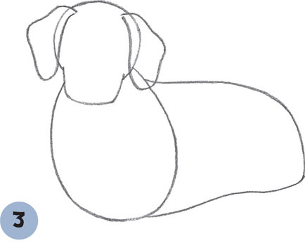 434x346 Dalmatian Puppy