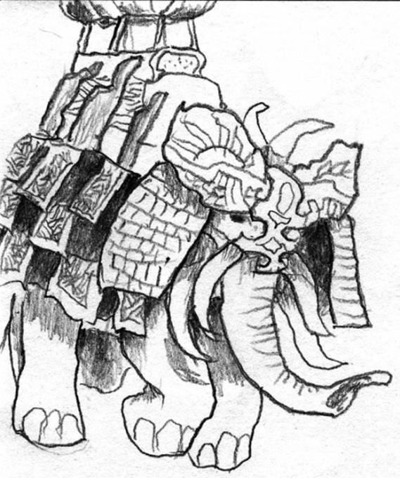 569x680 War Elephant. Nature. Drawings. Pictures. Drawings Ideas For Kids