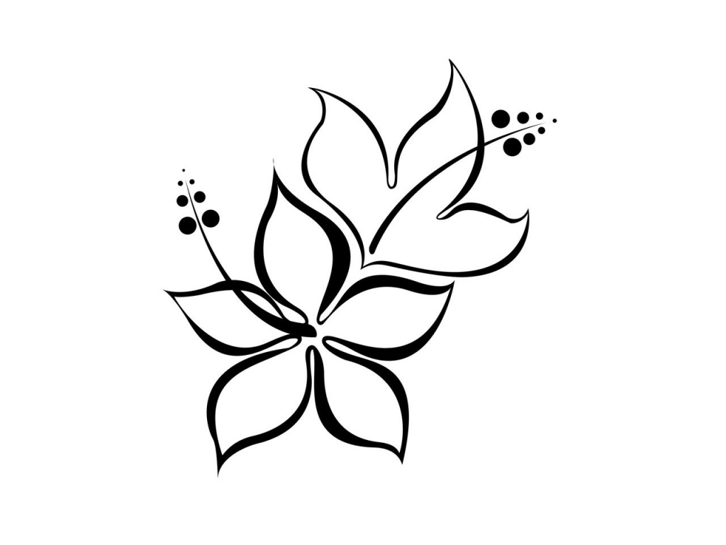1024x768 Simple Flowers To Draw Flower Design For Drawing Cool And Easy