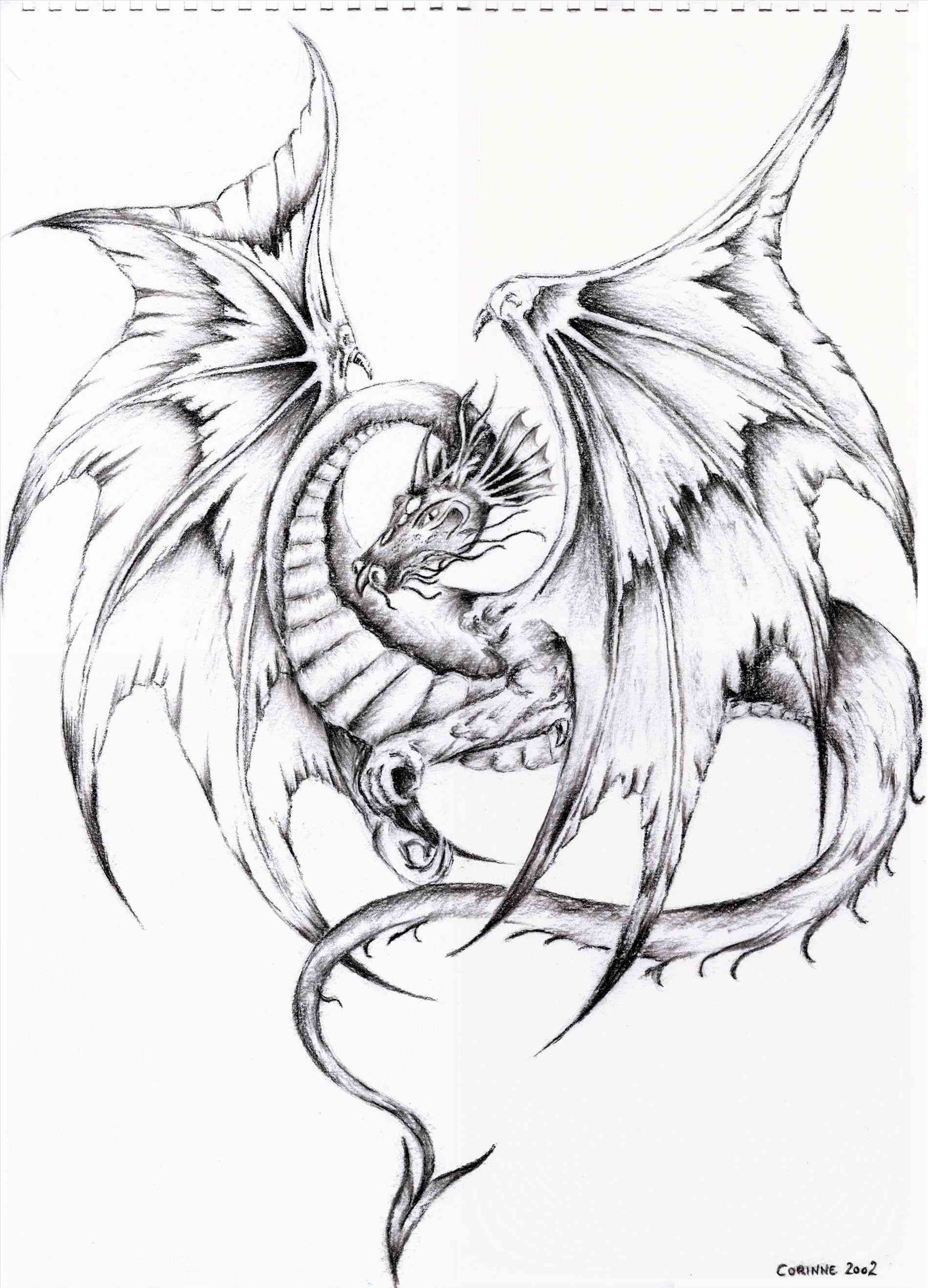 1899x2635 Drawing Easy Rose Tattoo Sketch Drawing Ideas By Ranz Pencil