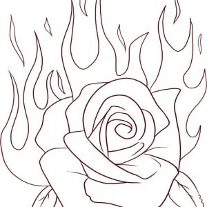 300x300 How To Draw A Rose Flower Easy Step By Drawing Lessons For Adult