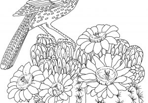 300x210 The Images Collection Of How Hard Drawings For Kids To Draw A Logo