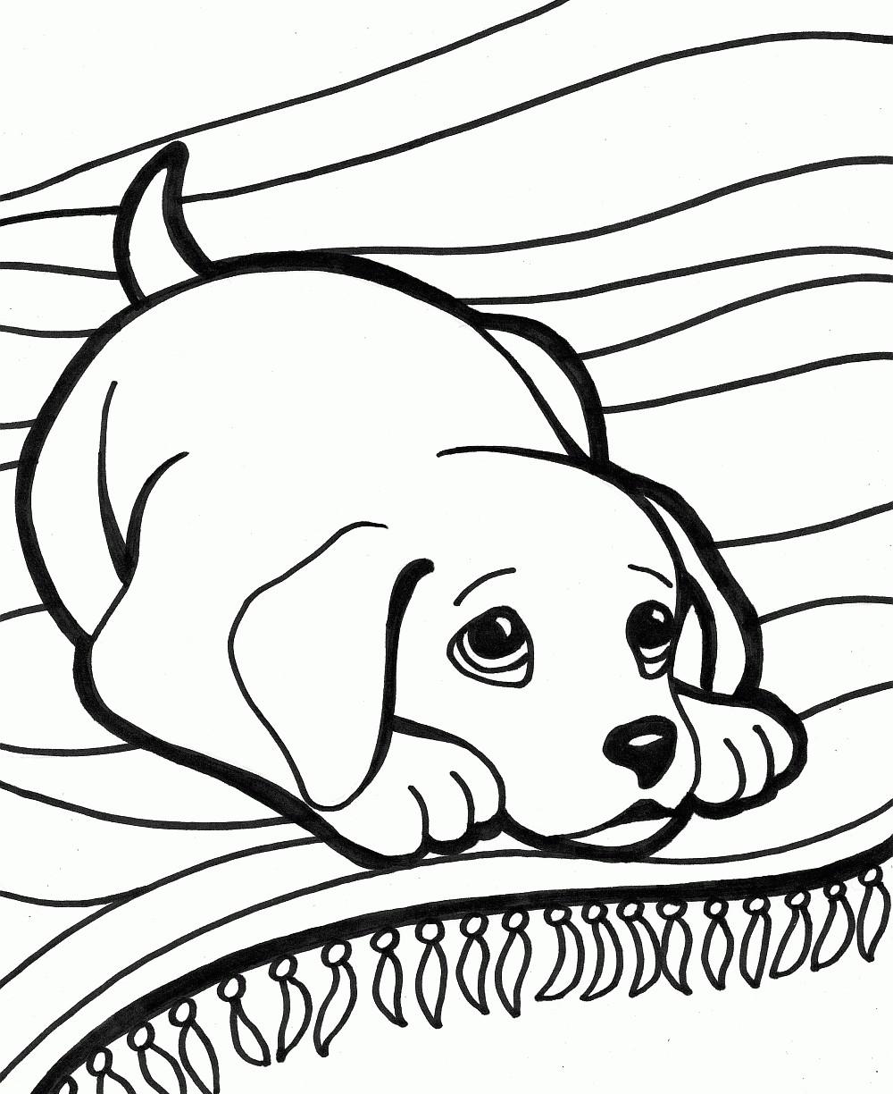 1000x1224 Easy Bird Coloring Pages Fresh Cute Coloring Pages Baby Chubby Cat