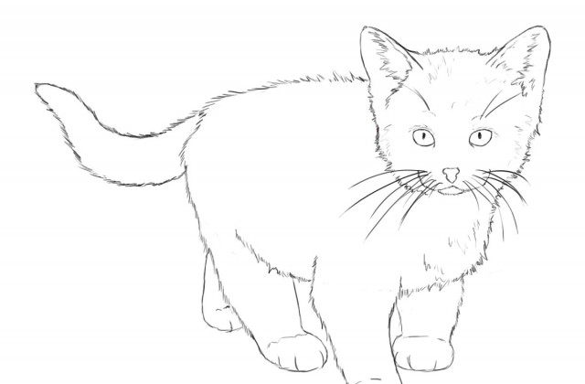 640x420 Tag Cute Drawing Of A Cat How To Draw A Cute Cat Step By