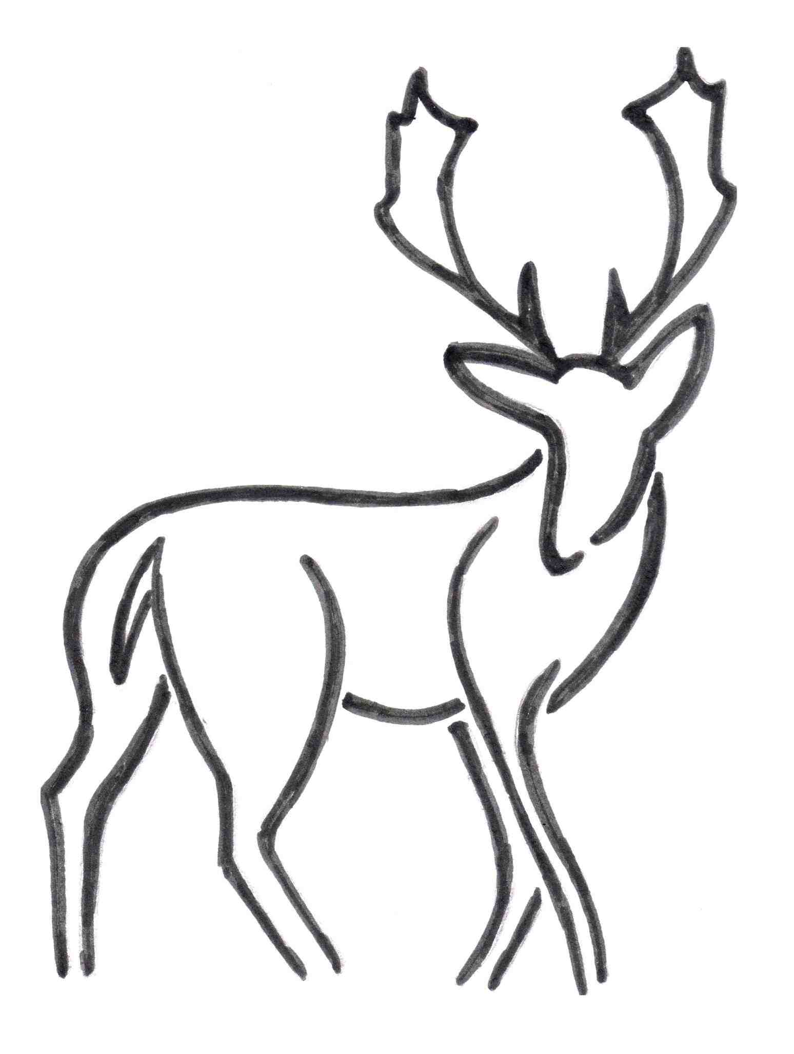 1548x2054 Download. How To Draw A Deer. Free Simple Line Drawings Drawing