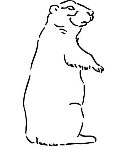 400x480 Prairie Dog Coloring Page Free Printable Coloring Pages