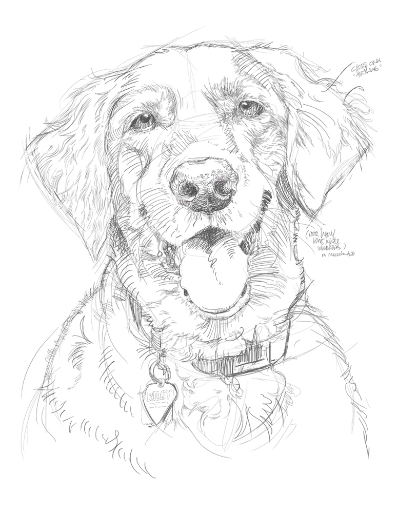 813x1000 Simple Dog Pencil Arts Best Easy Drawings Of Animals Ideas