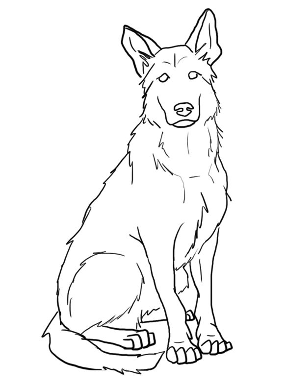 583x790 Collection Of Collie Dog Black White Line Art Tattoo