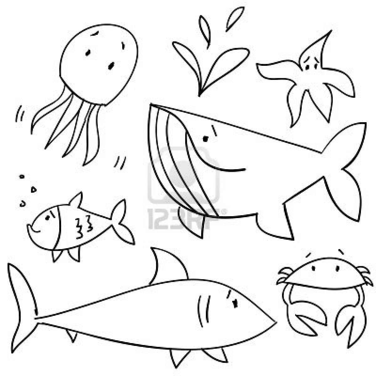 1200x1200 Easy Sea Animals Draw Coloring Page Fabulous Dolphin How