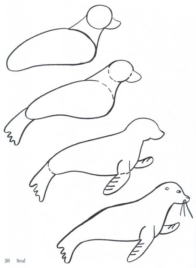 747x1024 Easy Ways To Draw Animals Easy Way To Draw A Dolphin Youtube