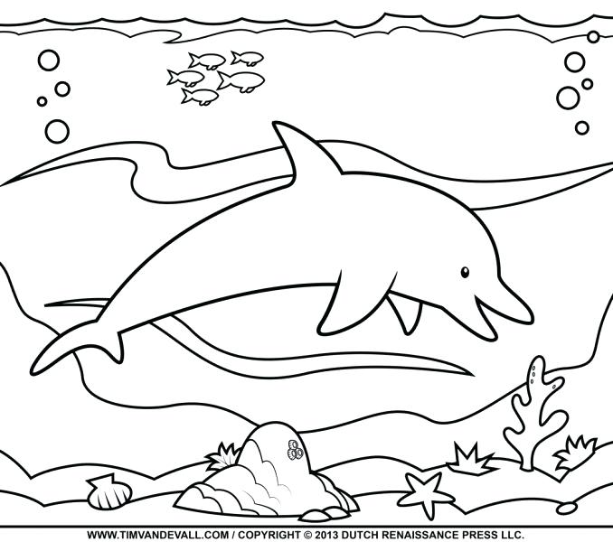 Easy Drawing Of A Dolphin at GetDrawings | Free download