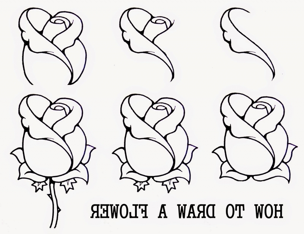 1024x788 Best Learn To Draw Flowers Easy Drawings Of Flowers Step Step