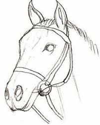 201x251 Designing Horse Pencil Drawings