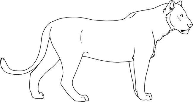 Easy Drawing Of A Lion at GetDrawings | Free download