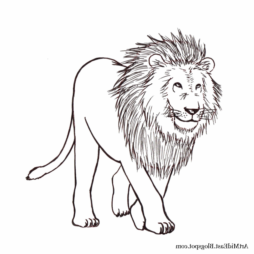 Easy Drawing Of A Lion at GetDrawings | Free download