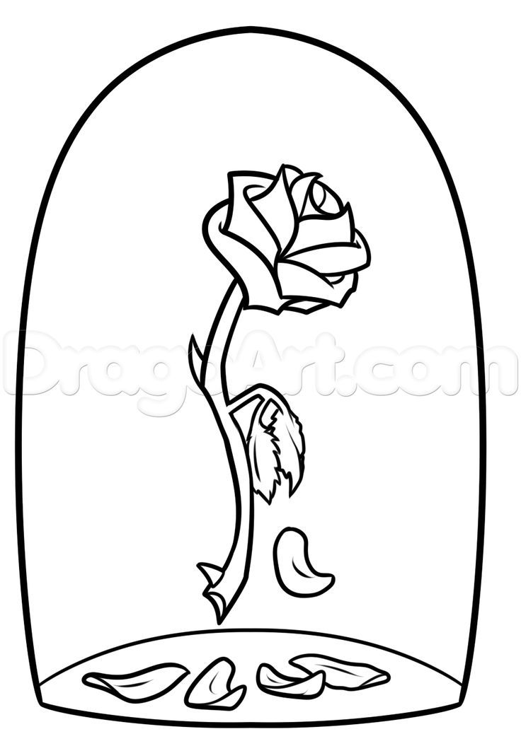736x1055 How To Draw A Super Easy Rose Howsto.co