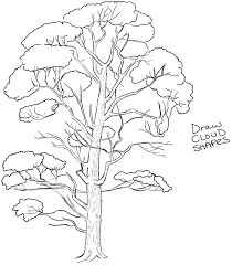 210x240 Learn How To Draw Seven Different Trees. Step By Step Instructions