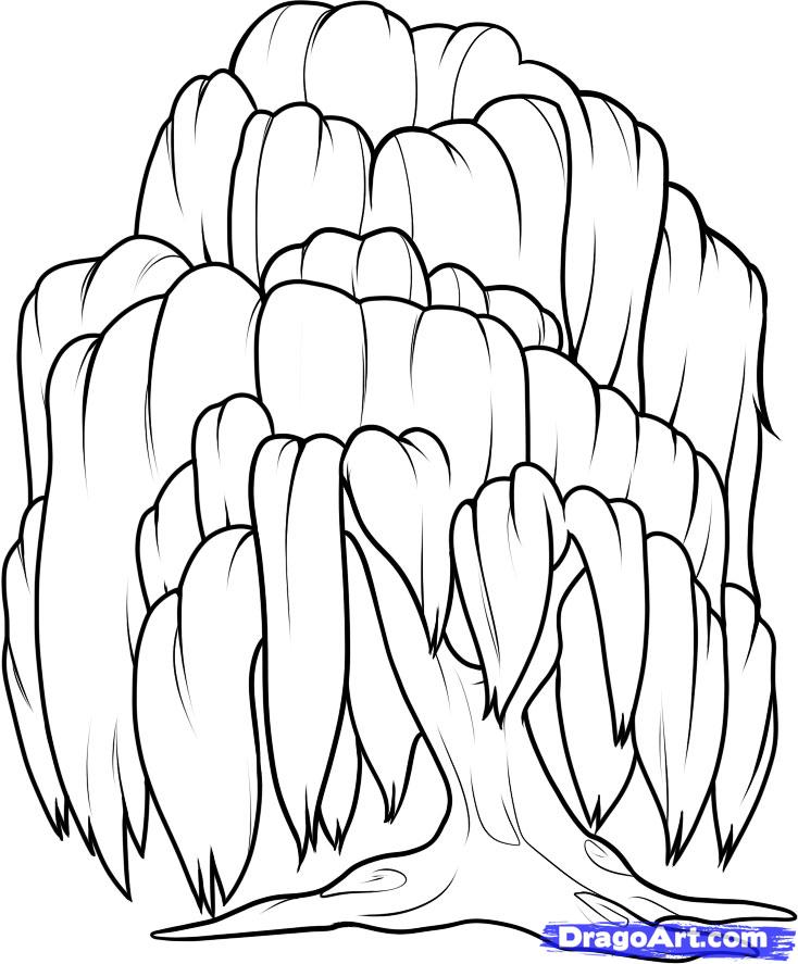 734x887 Weeping Willow Coloring Pages
