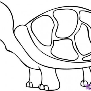 320x320 Tag For Cartoonnimals Thatre Easy To Draw How To Draw