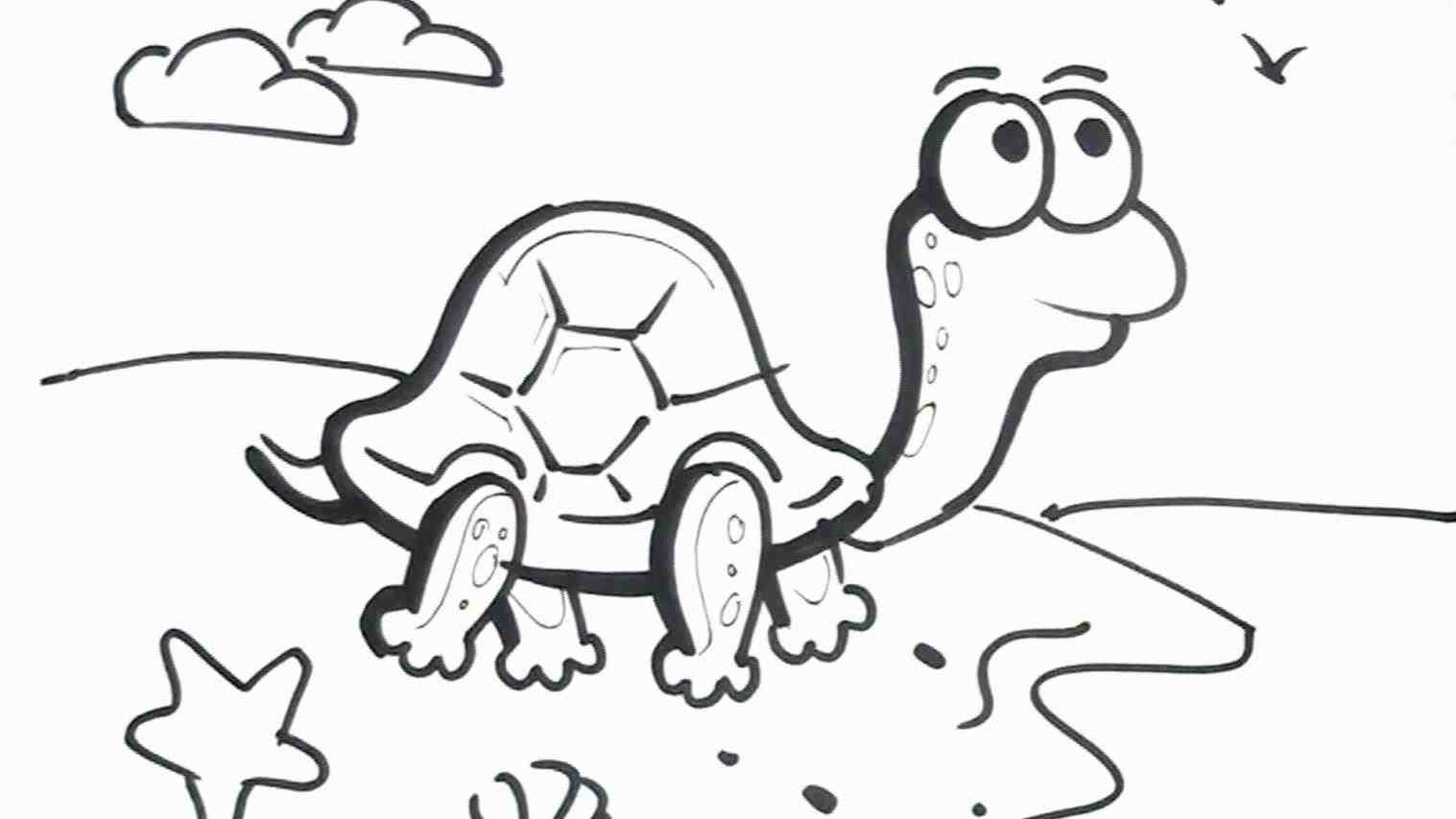 1517x853 The Images Collection Of Free How To Draw Ninja Michelangelo Step