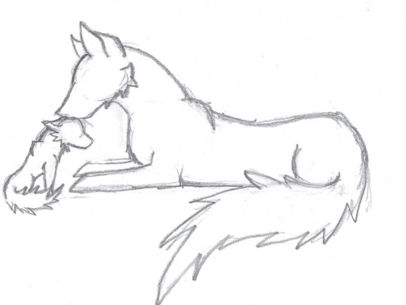 805x606 Drawing Easy Wolf Drawings With Easy Drawings Of A Wolf As Well