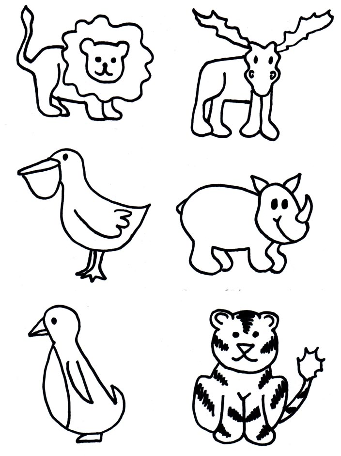 704x940 How To Draw Zoo Animals