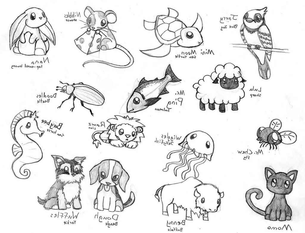 1024x780 Cute Drawings Animals Easy Cute Animal Drawings Animals Drawing