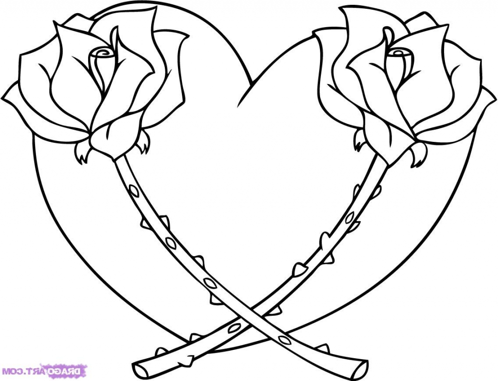 1024x784 Easy Drawing Of A Rose