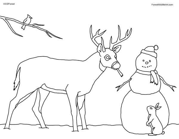 600x464 Easy Draw Deer Coloring Page