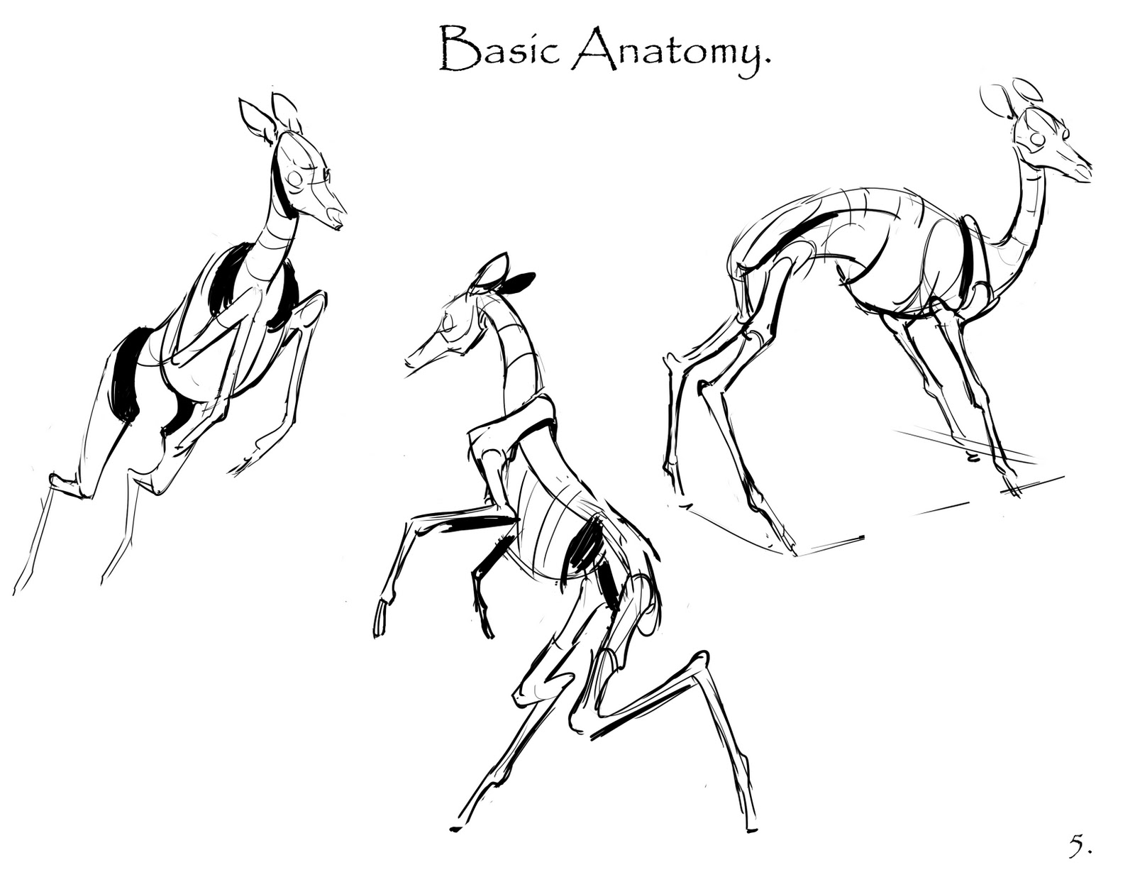 1600x1236 Animal And Life Drawing Blog First Post! Sketching Deer