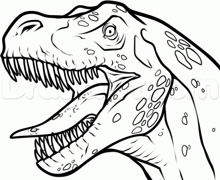 745x608 Drawing Cartoon Dinosaur Drawing Tutorial Plus Dinosaur Drawing