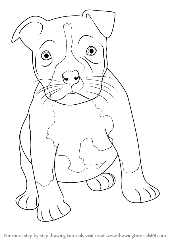 598x844 Drawn Pit Bull Easy