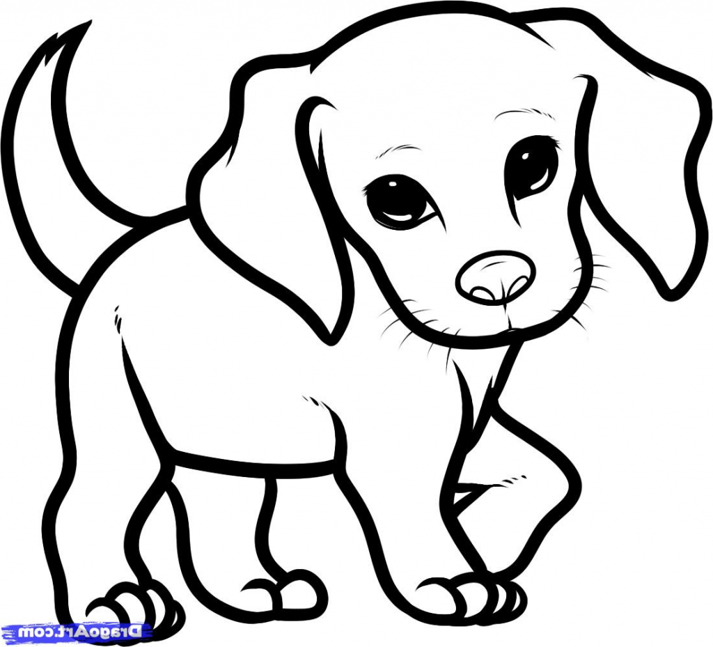 1024x929 Coloring Pages Magnificent Puppy Drawings Easy Drawing Of A How