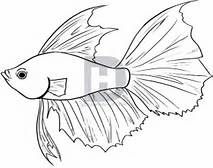 213x168 Easy Fish Drawings