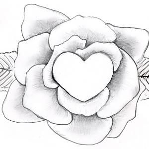 300x300 Pictures Easy Pencil Drawings Of Hearts And Roses,