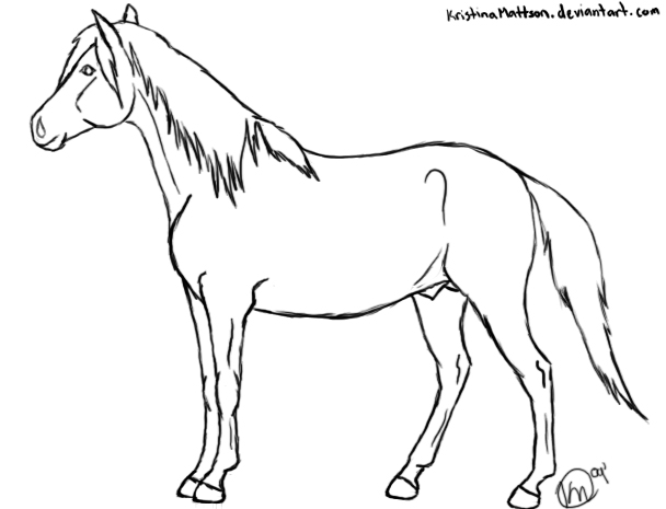 608x465 Drawn Horse Stallion