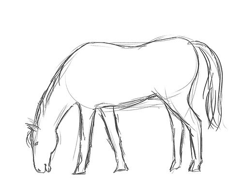 500x382 Horse Sketch Sketches Sketches