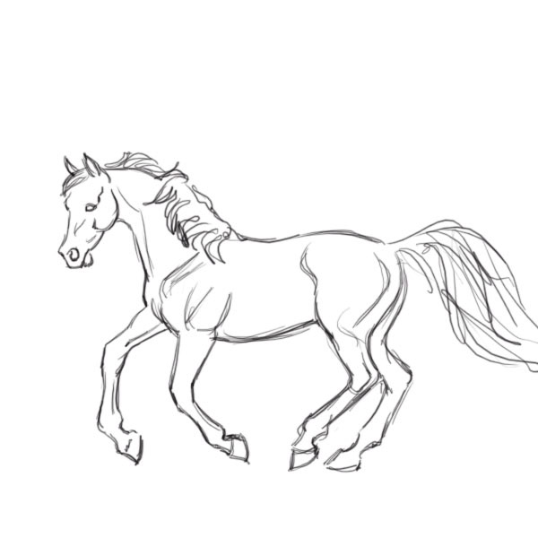 600x600 Draw A Horse