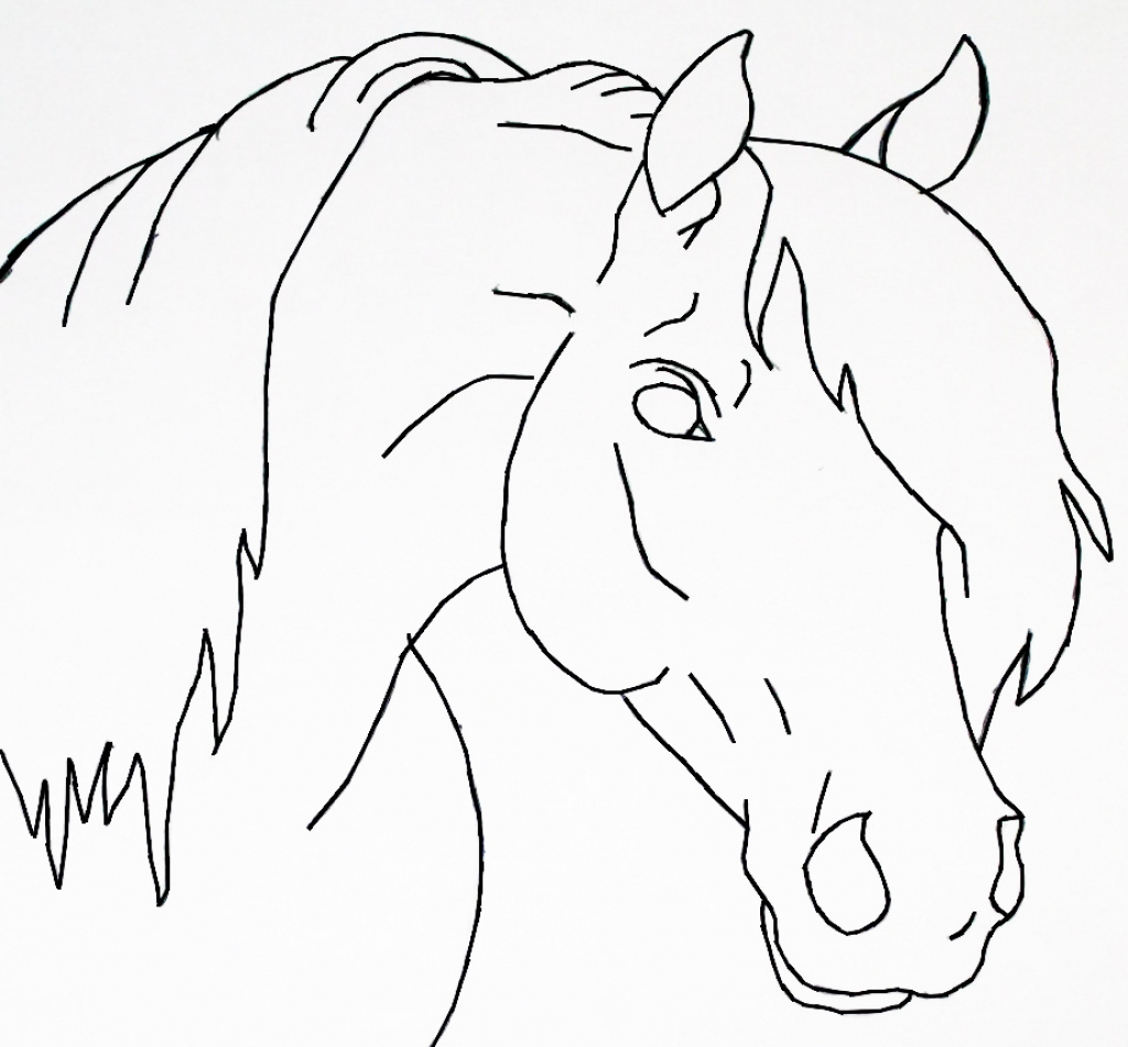 1024x951 Simple Horse Head Drawing Best Photos Of Horse Head Drawings Easy