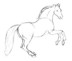 236x202 Drawn Horse Basic